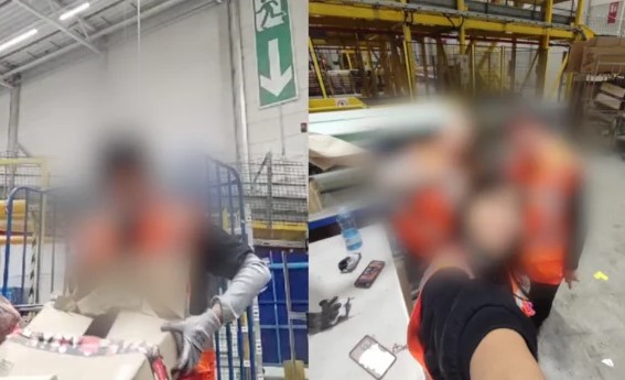 Perusahaan Yang Diduga Terlibat Kasus Magang Palsu di Jerman